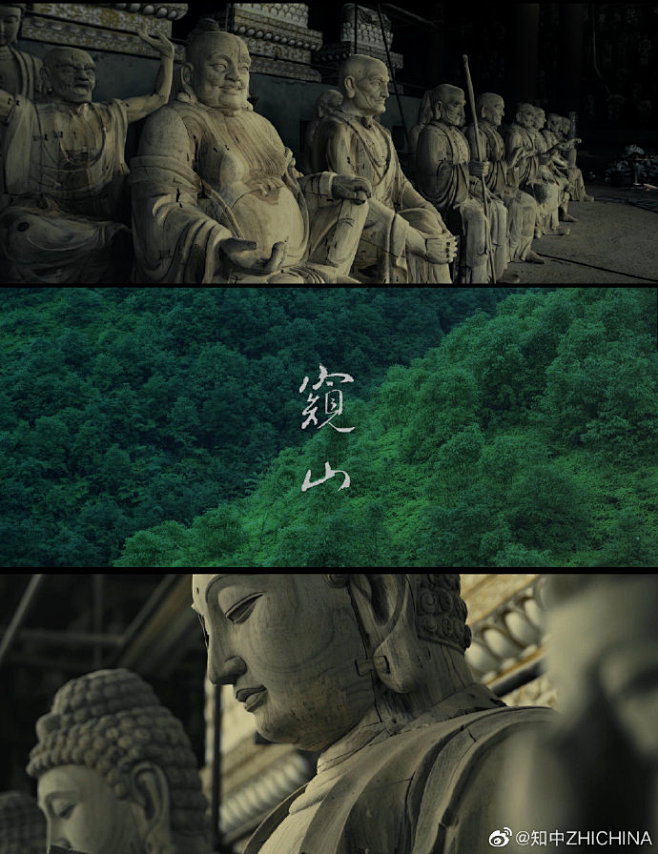 冷调政坛新人