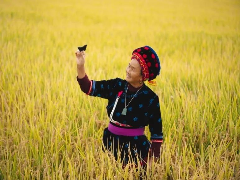现实切口高考一年